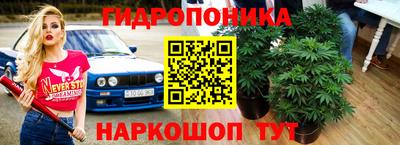 индика Наро-Фоминск