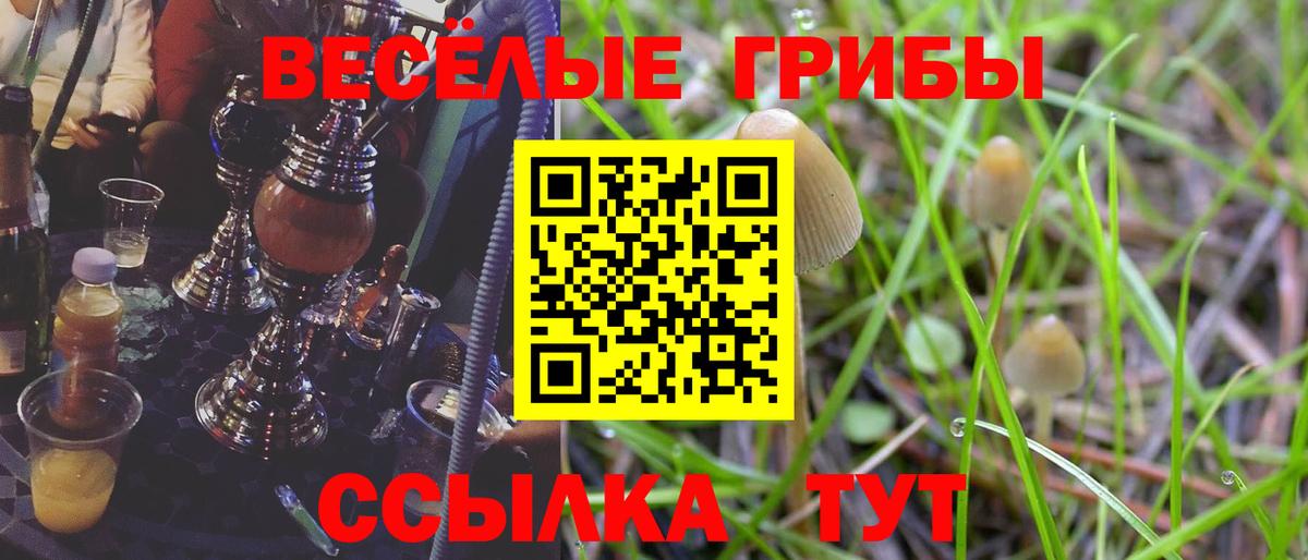 Уссурийск  Галлюциногенные грибы Psilocybe  Галлюциногенные грибы Psilocybe  Вход с VPN 